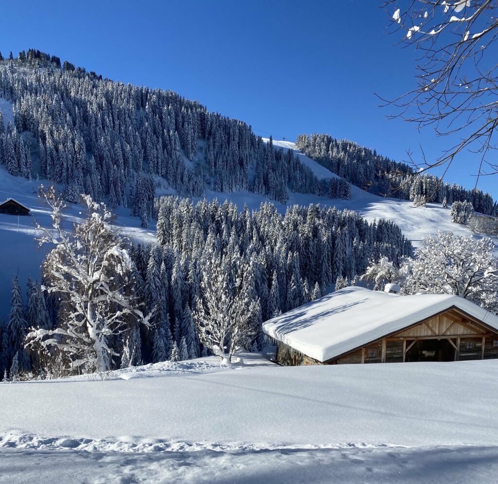 Chalet La Dartuelle GRAND CHALET AUTHENTIQUE 15 personnes avec Piscine