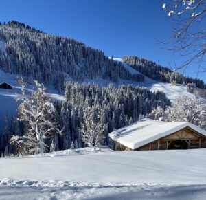 Chalet La Dartuelle GRAND CHALET AUTHENTIQUE 15 personnes avec Piscine